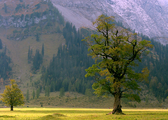 Großer Ahornboden/Tirol