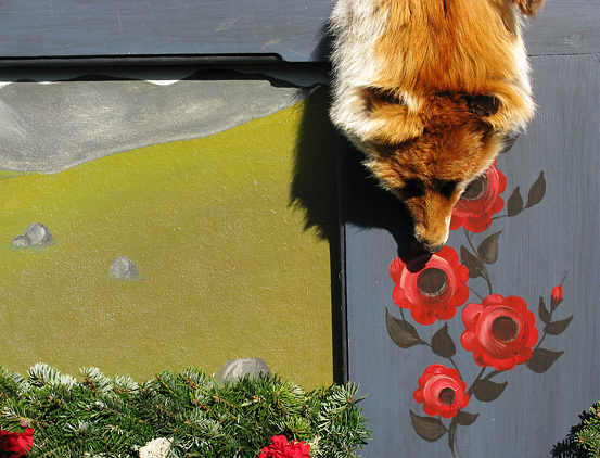  Impression mit Fuchs und T&ouml;lzer Rosen auf einem Tafelwagen