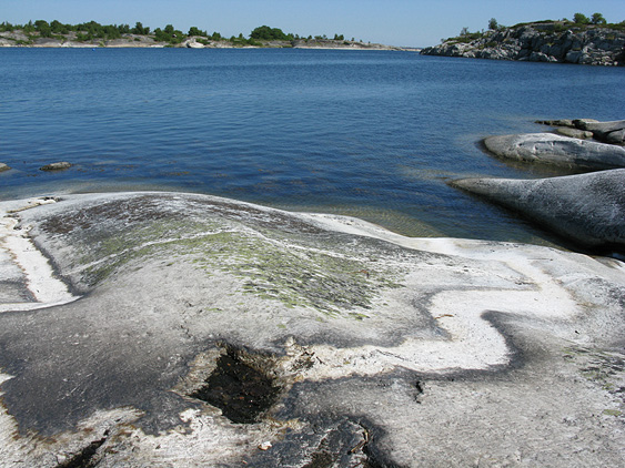 im &Auml;u&szlig;eren Sch&auml;rengarten